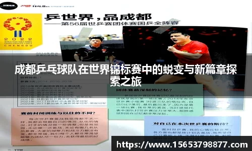 bsports必一体育