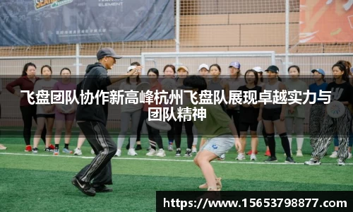 飞盘团队协作新高峰杭州飞盘队展现卓越实力与团队精神