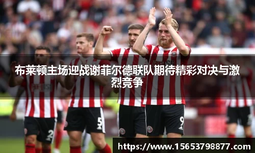 布莱顿主场迎战谢菲尔德联队期待精彩对决与激烈竞争